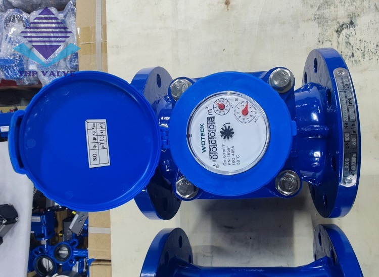 Đồng hồ đo nước thải dạng cơ LXXG Woteck