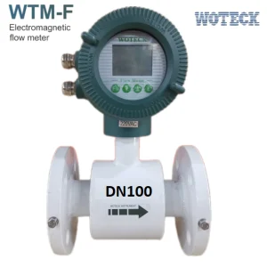Đồng hồ điện từ WTM-F-100 Woteck