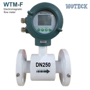 Đồng hồ điện từ Woteck WTM-F-250