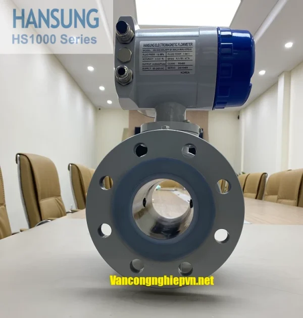 Đồng hồ lưu lượng điện từ HS1000-250LNFF