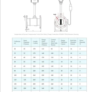 Catalog đồng hồ đo lưu lượng hơi nóng WTYG-150 DN150