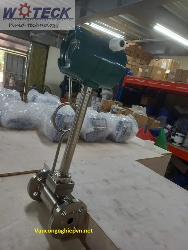 Vortex Flow Meter WTYG-15